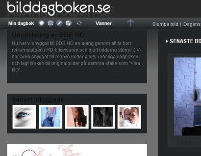 Bilddagboken - Gray