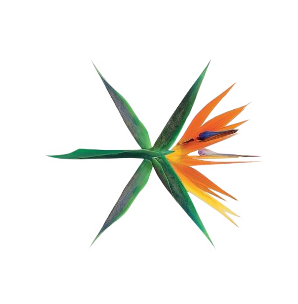 EXO CURSOR