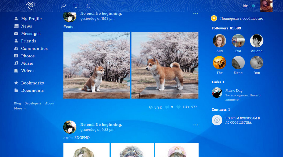 theme vk (2020 mar)