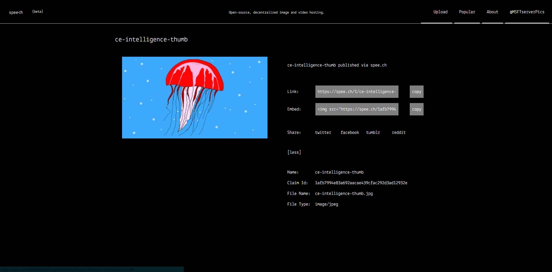 spee.ch dark theme