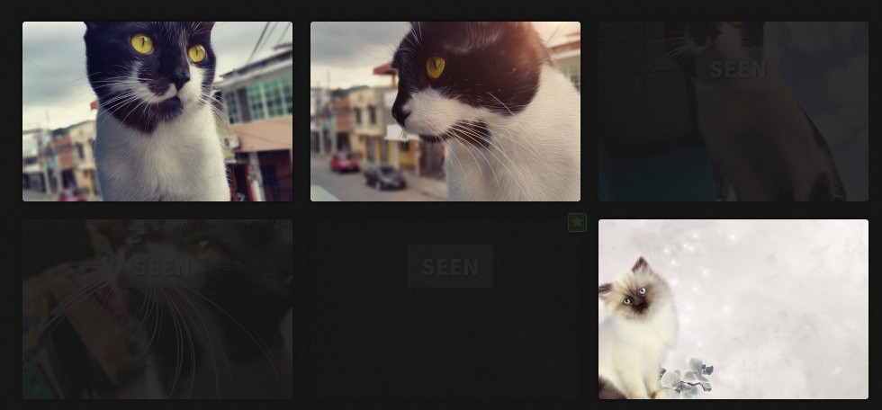 Wallhaven - Change seen and favs thumbs opacity