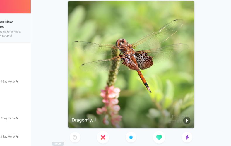 Tinder Online Full Size