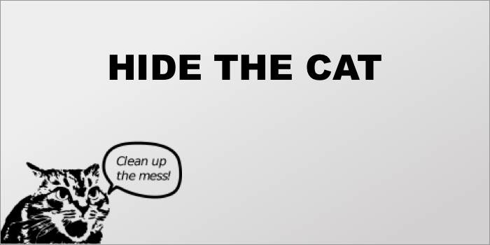 Hide the Cat