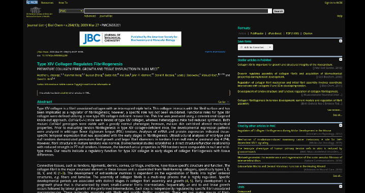 Dark Pubmed NCBI