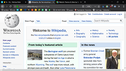 Wikipedia - no donation ads