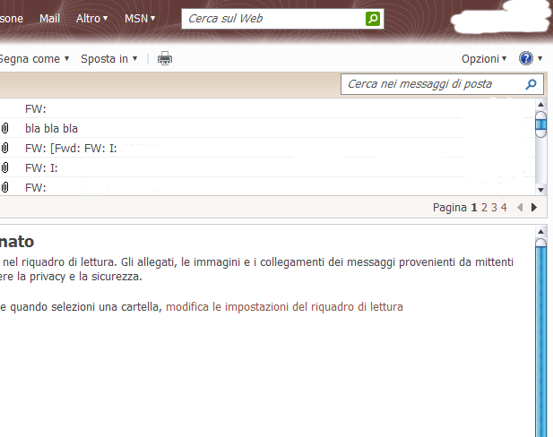 Hotmail Cleaner - Feb 2009