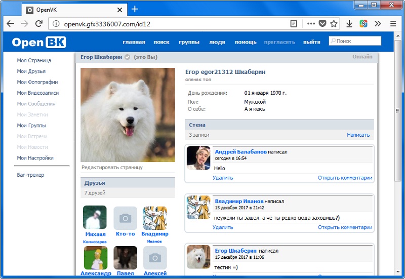 OpenVK Custom
