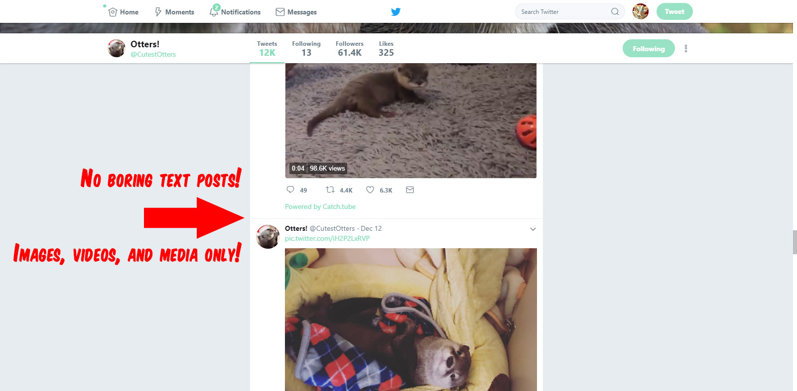 Twitter Images & Media Posts Only