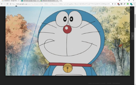 google_image_preview_fullpage