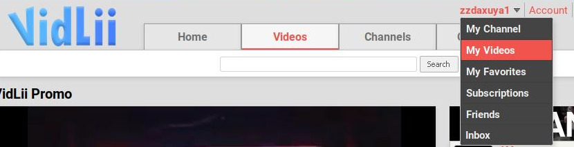 VidLii Numix
