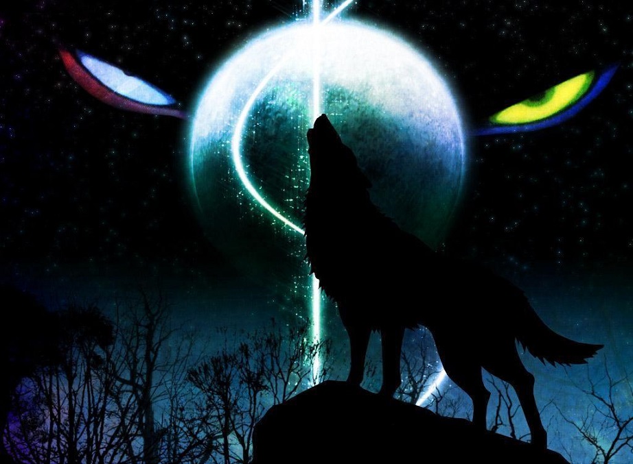 Wolf spirit animal ddc facebook