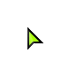 NEON GREEN POINTER