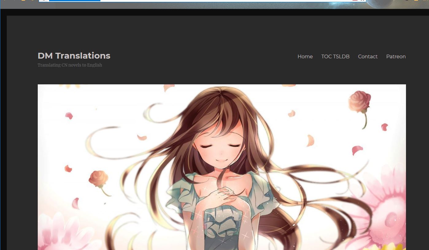 dmtranslationscn.com dark theme