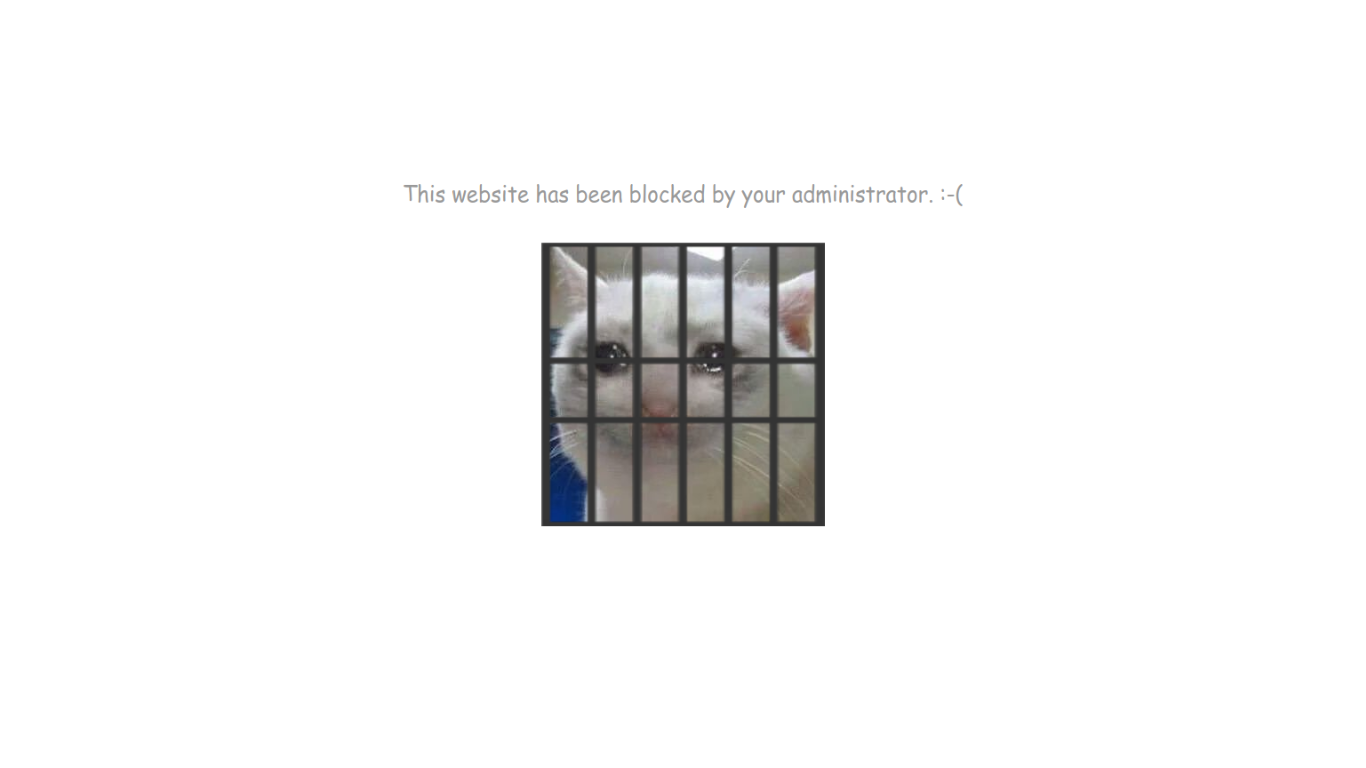Updated GoGuardian Block Page