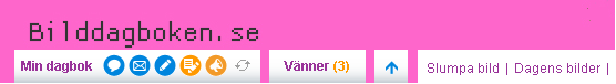 Bilddagboken, rosa