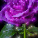New purple flower