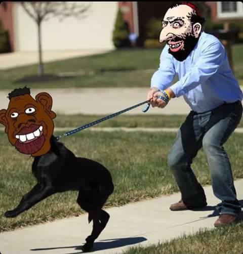 Ave | Montagne de Sakura