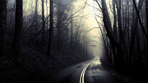 into the mist