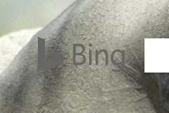 Bing.com Elephant Theme
