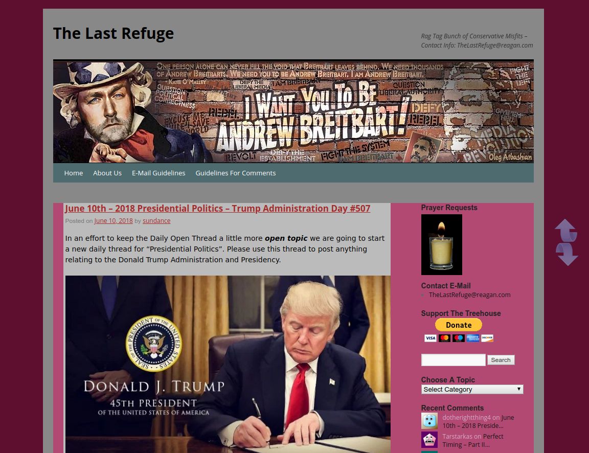 Conservative Treehouse - Easy Read