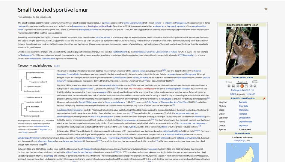 Wikipedia- Grey Minimalist