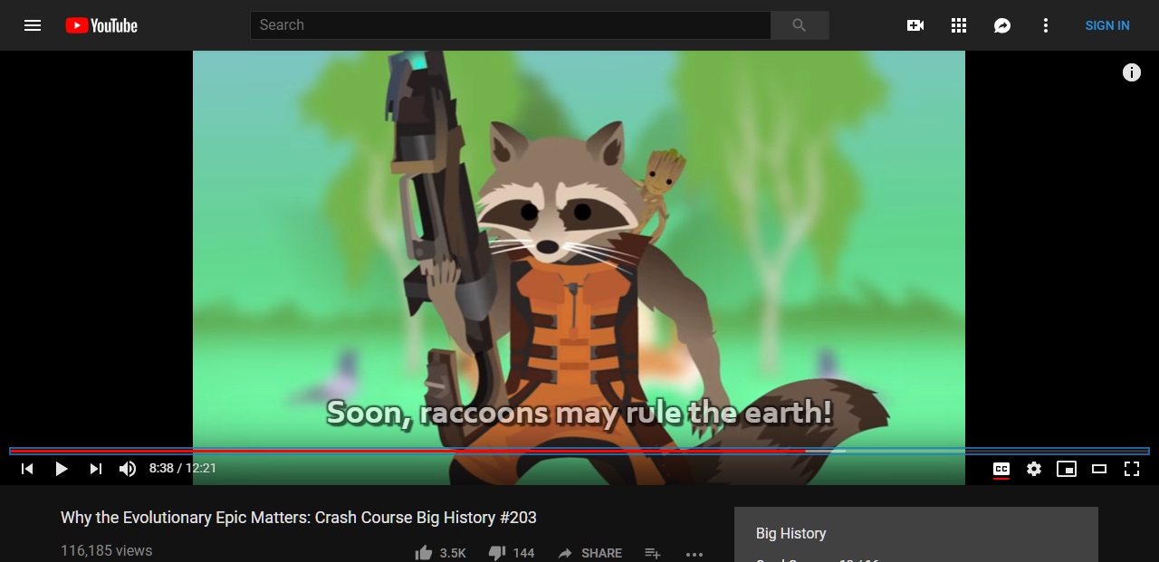 YouTube Captions Customizer