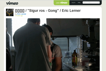 Vimeo Wide Videos