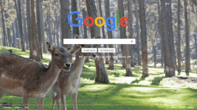 Google Wallpaper Slideshow