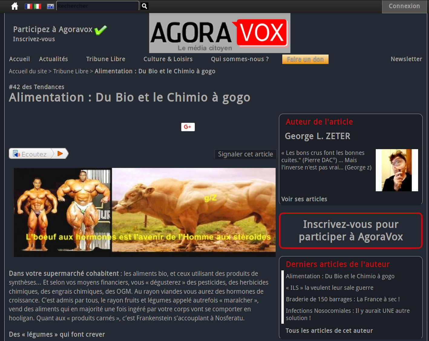Agoravox - Theme Sombre