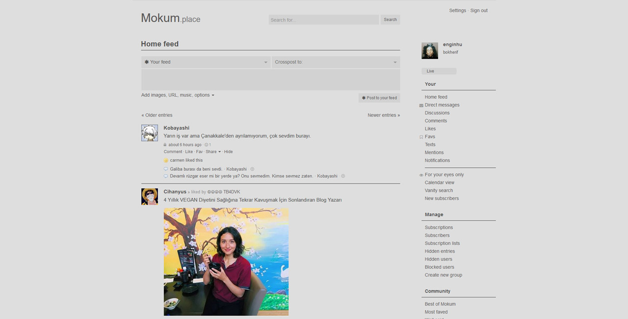 mokum.place Grey Theme