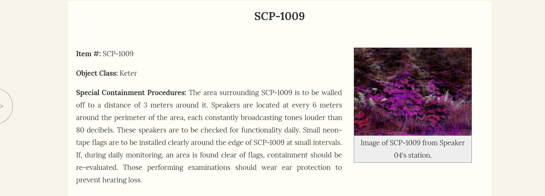 Minimal SCP Foundation Based on Cocoonist