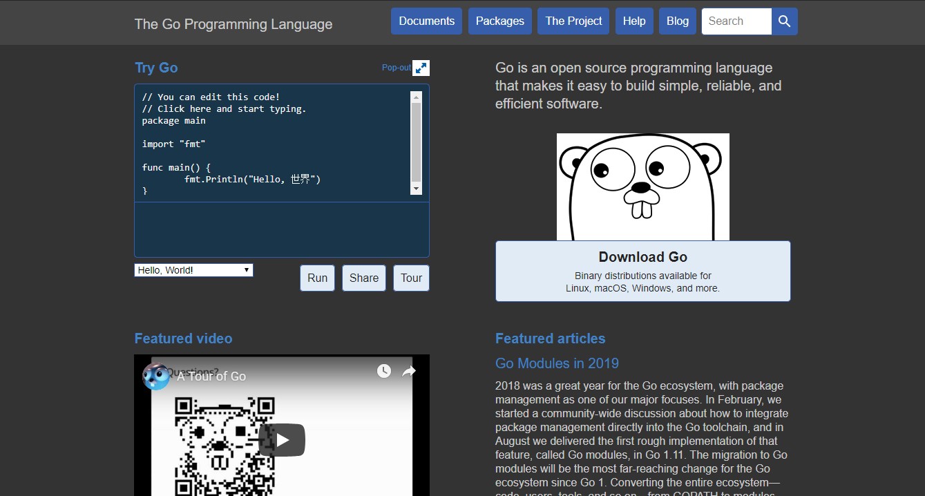 GoLang Dark Theme