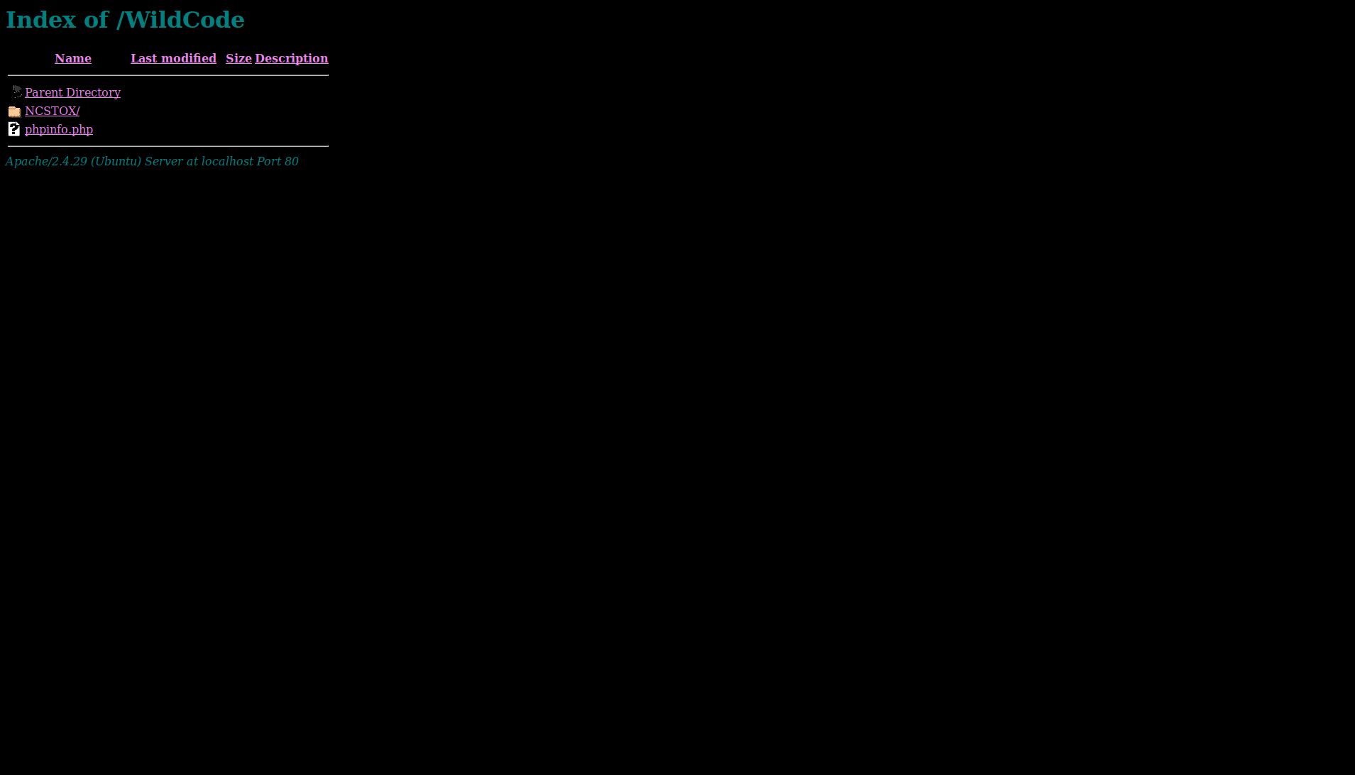 localhost_index_of_wildcode_dark