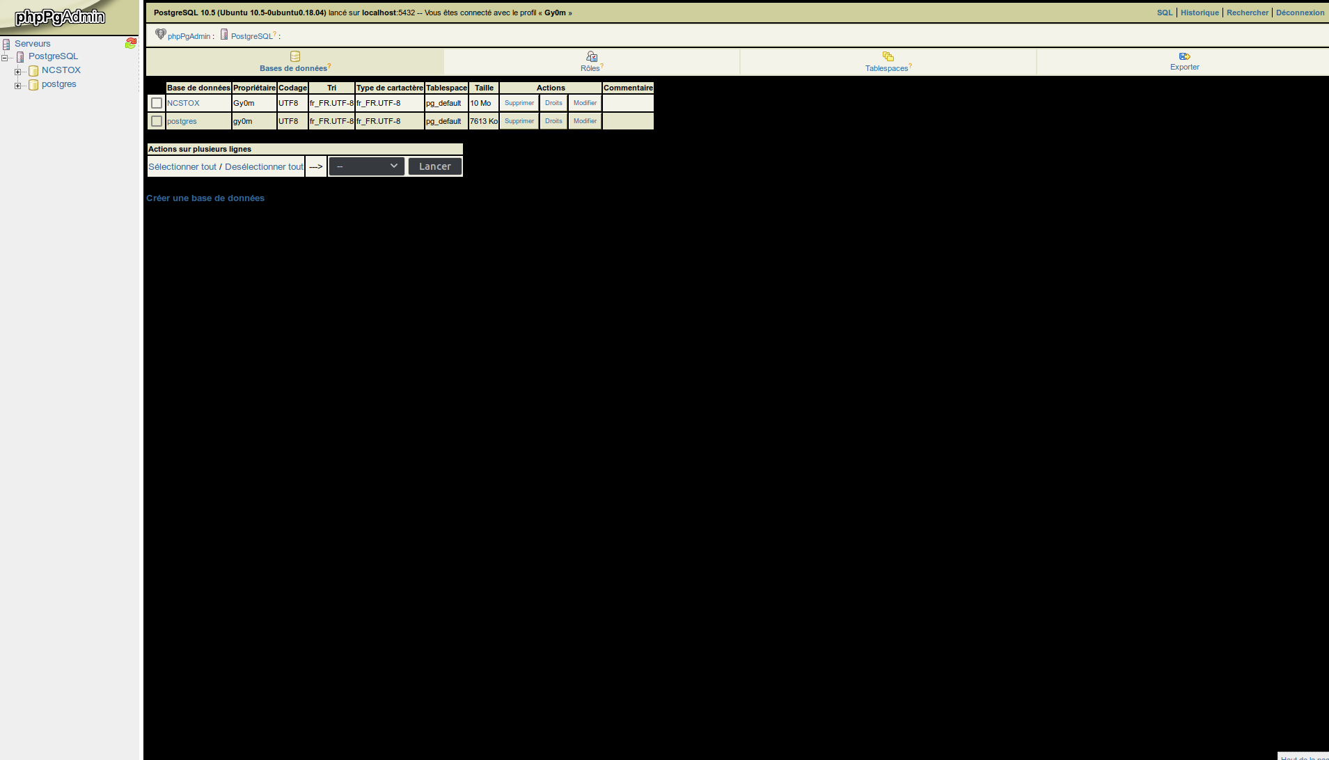 phppgadmin _made_dark