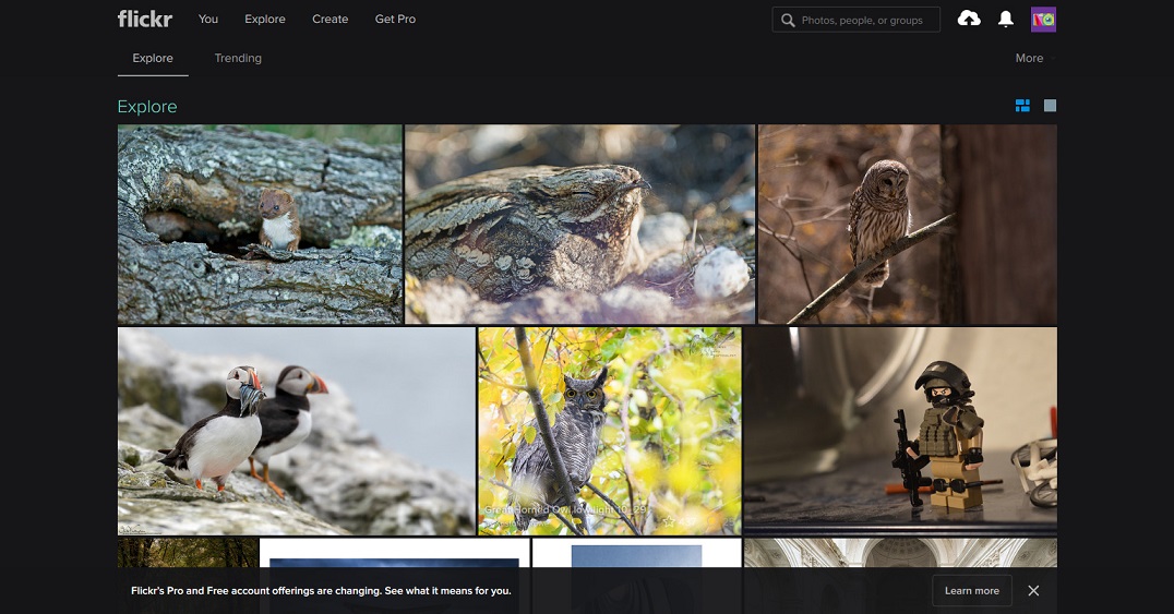 Flickr Dark