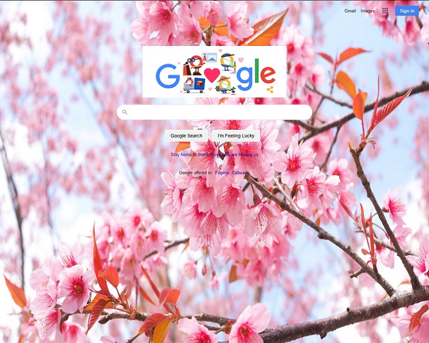 Sakura's Cherry Blossom 2020