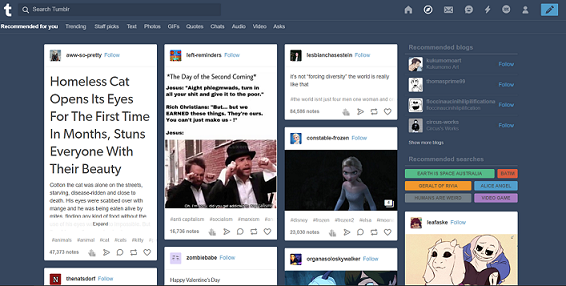 Old tumblr (in repairs as of 27/03/20)