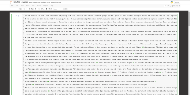 Wide Jupyter Notebook