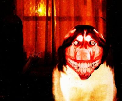 Smile Dog (Roblox)