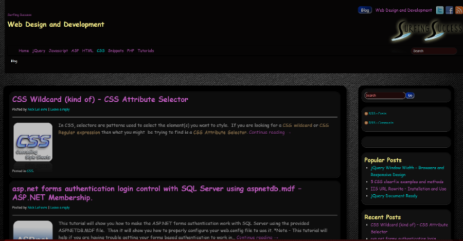 surfingsuccess.com by BamaBraves