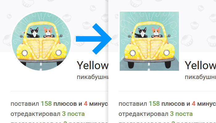 Pikabu SquareAvatars