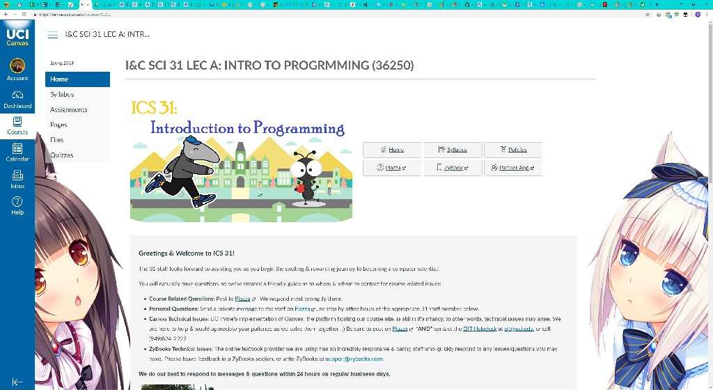UCI Websites Beautify