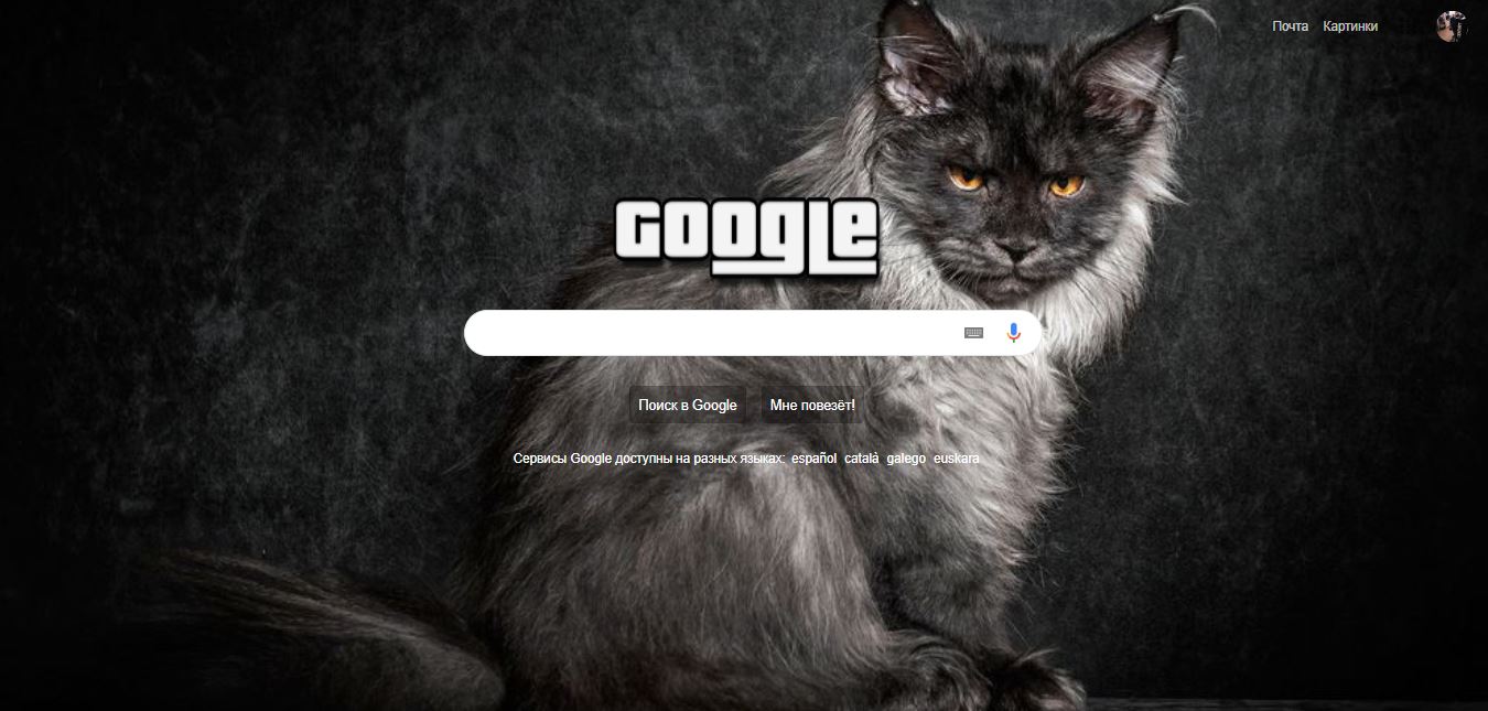 Maine Coon