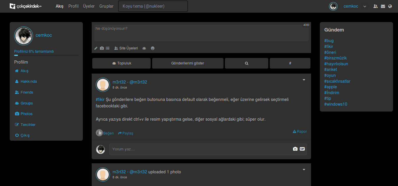 ÇokÇekirdek TS Theme