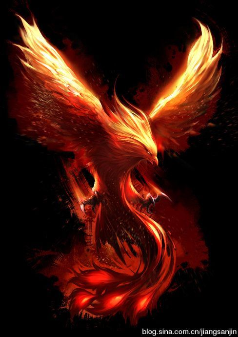 phoenix for guigui
