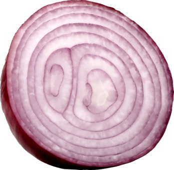 shallot logo for roblox home page (and bonus leek)