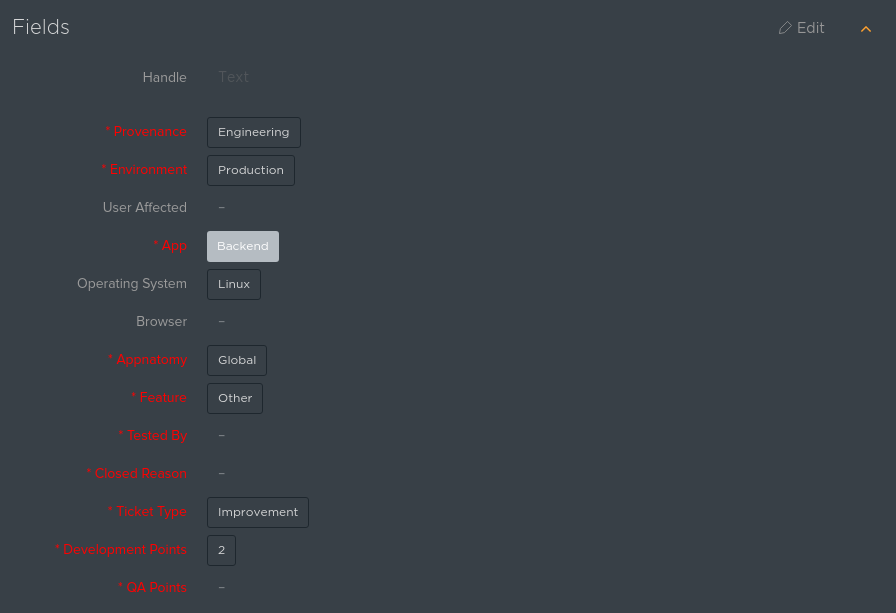 ClickUp Custom Fields (eVisit)