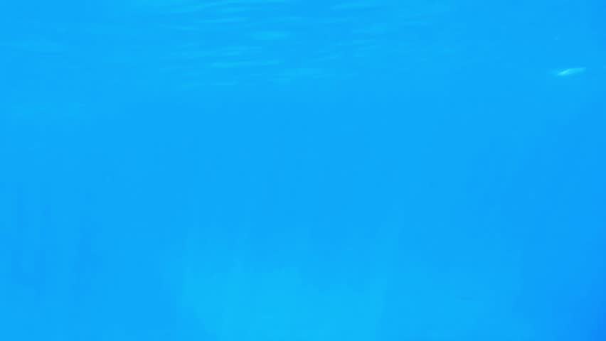 Bright Blue Background