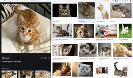 Google Images Left Preview