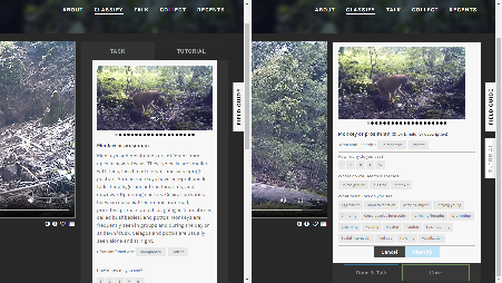 Zooniverse Less Scrolling